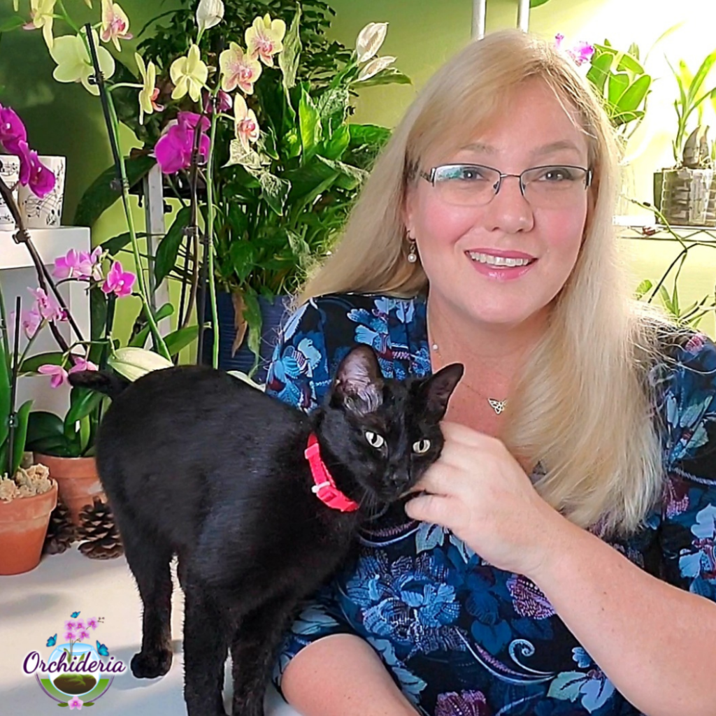 mULHER COM GATO
