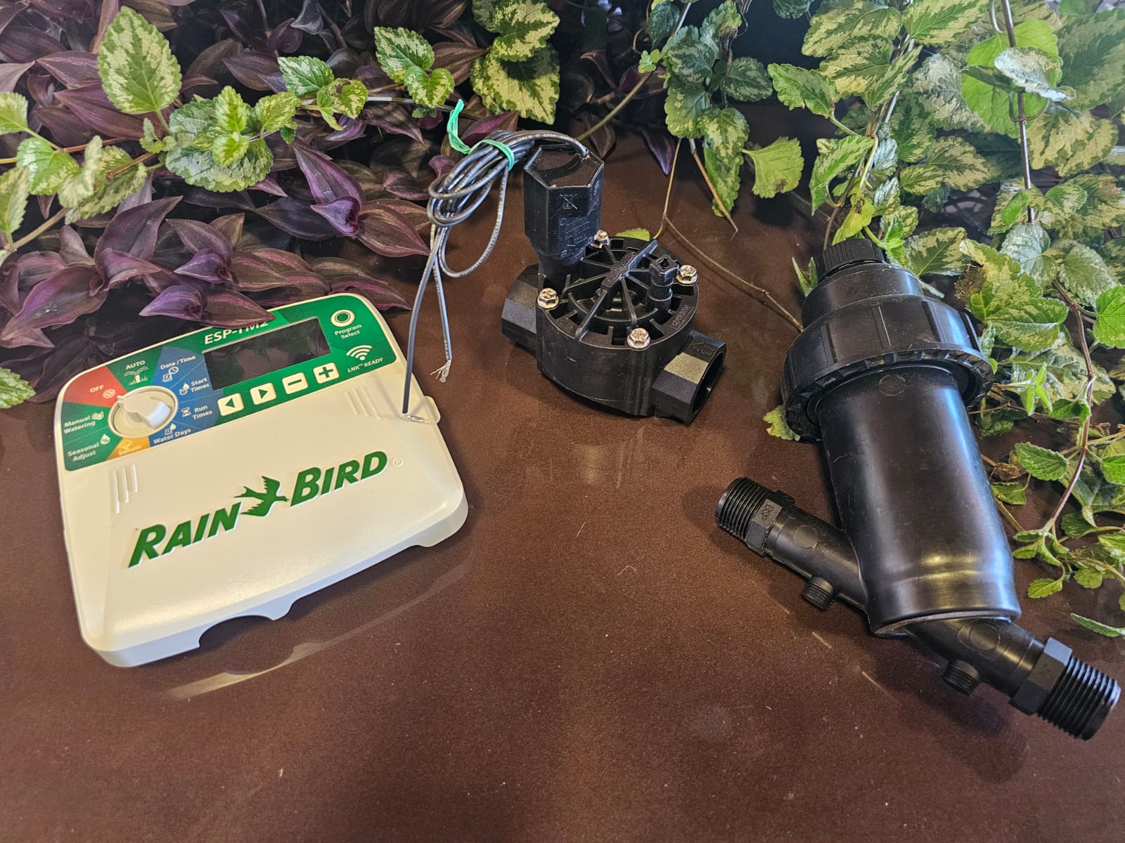 RainBird