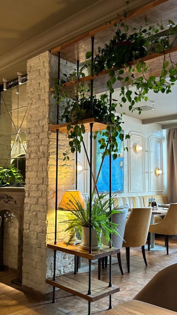 Plantas de Interiores